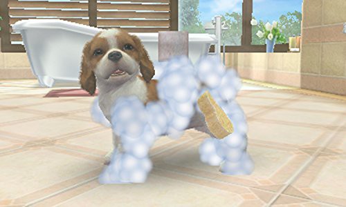 最高の ハッピープライスセレクション Nintendogs Cats トイ プードル Newフレンズ 3ds Expectation