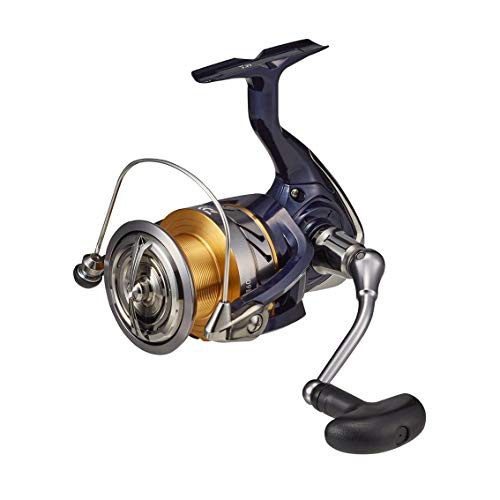 ダイワ(DAIWA) スピニングリール 20 クレスト LT6000-H (2020モデル)