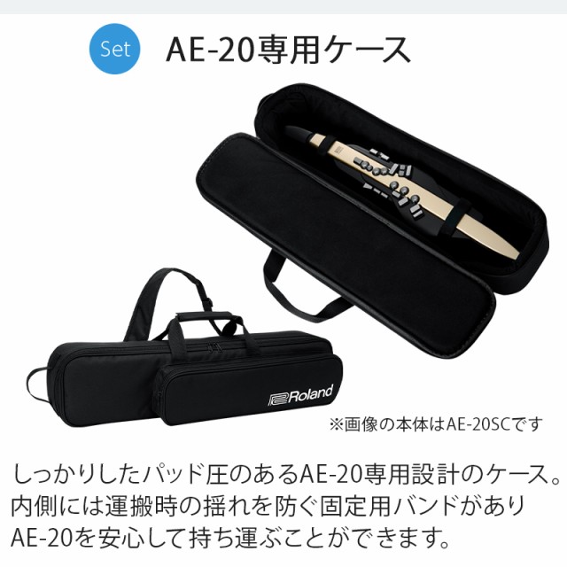 【教則動画付き】Roland ローランド AE-20SC ケース ヘッドホン 専用スタンドセット 島村楽器限定ゴールドカラー 32種追加音源