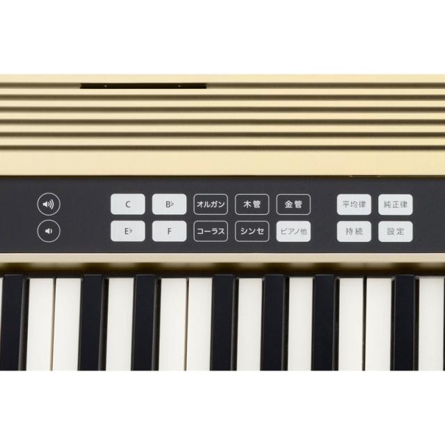 現金特価 Roland Justy Hk 100 ハーモニー リズム練習用キーボード 送料無料 Bayounyc Com