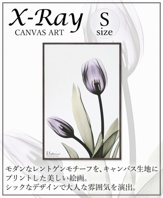 現金特価 絵画 アートパネル 絵 花 モダン おしゃれ X Ray キャンバスアート チューリップ Xr 101 春夏新色 Trieen Mx