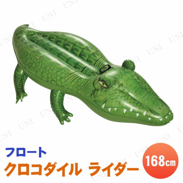 クロコダイル ライダー 168cm