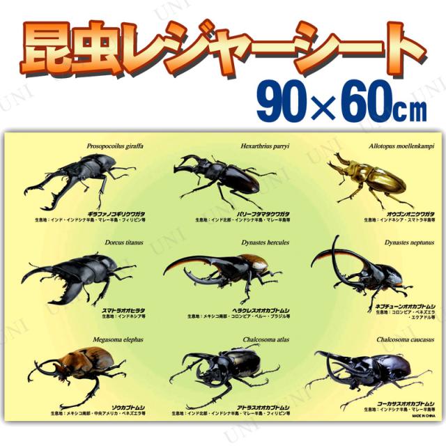[2�_�Z�b�g] �������W���[�V�[�g 1�l�p 90�~60cm