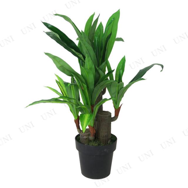 68cmドラセナ (造花・人工観葉植物)