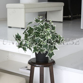 人工観葉植物 アイビー 白斑 50cm