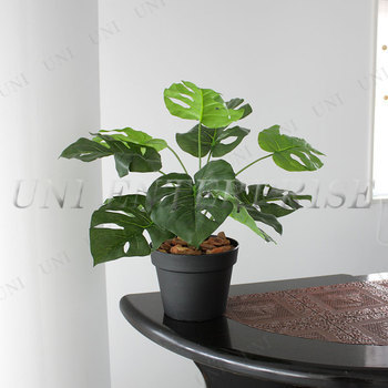 Funderful 人工観葉植物 光触媒 ミニモンステラ 45cm