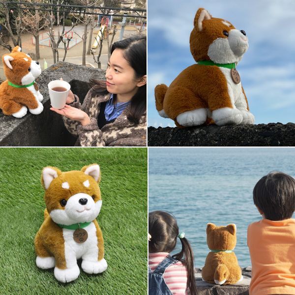 音声認識ぬいぐるみ こんにちワン しばいぬコウタ 犬 可愛い ぬいぐるみ 柴犬 しゃべる人形 おしゃべり 歌う ひとり言 簡単操作 の通販はau Pay マーケット 株式会社ポニー 商品ロットナンバー