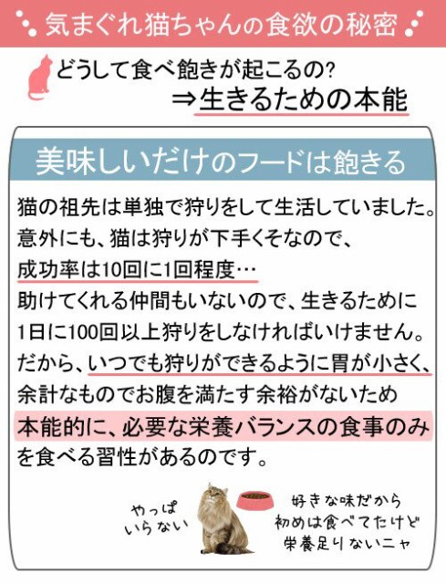 人気が高い ロイヤルカナン 猫用 キャットフード 猫 インスティンクティブ ７ ８５ｇ お一人様５点限り １箱 在庫処分セール Carlavista Com