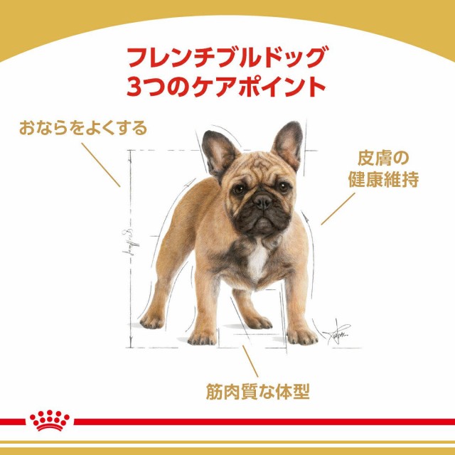 在庫処分セール ロイヤルカナン 犬用 ドッグフード フレンチブルドッグ 成犬 高齢犬用 ３ｋｇ ４袋 沖縄別途送料 ジップ付 在庫限り Www Centrodeladultomayor Com Uy