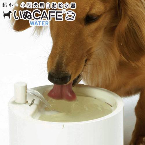 ドギーマン いぬｃａｆｅ ｗａｔｅｒ フィルター付き循環式自動給水器 犬 循環式給水器 給水器の通販はau Wowma ワウマ チャーム 商品ロットナンバー