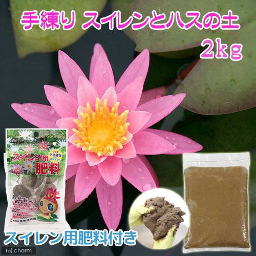 ビオトープ 水辺植物 スイレンとハスの土 スイレン用肥料付きの通販はau Pay マーケット チャーム 商品ロットナンバー