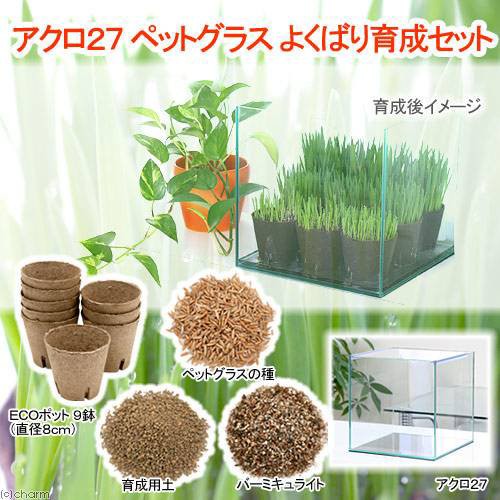 観葉植物 猫草 アクロ２７ ペットグラス よくばり育成セット 無農薬 １セット キャットフードの通販はau Pay マーケット チャーム 商品ロットナンバー