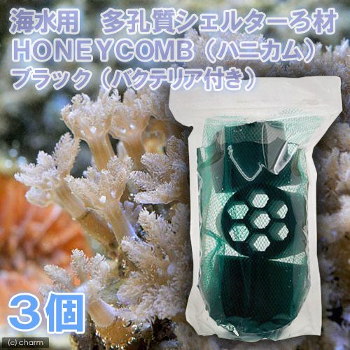 海水魚 ろ材 海水用 多孔質シェルターろ材 ｈｏｎｅｙｃｏｍｂ ハニカム ブラック バクテリア付き ３個 北海道航空便要保の通販はau Wowma ワウマ チャーム 商品ロットナンバー