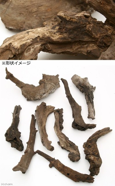 形状お任せ 煮込み済み 塊状流木 ｘｌサイズ 約３０ｃｍ ４０ｃｍ ３本 沖縄別途送料の通販はau Wowma ワウマ チャーム 商品ロットナンバー