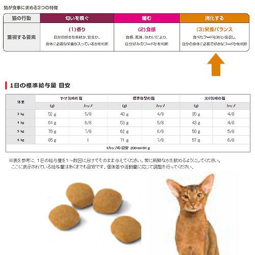 Seal限定商品 ロイヤルカナン 猫用 キャットフード 猫 プロテインエクシジェント 成猫用 ２ｋｇ ４袋 お一人様５ 50 Off Olsonesq Com