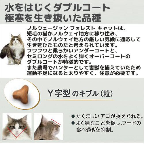 ロイヤルカナン 猫用 キャットフード 猫 ノルウェージャン フォレスト ...