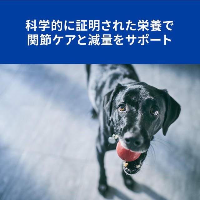 日本正規品 ヒルズ プリスクリプション ダイエット 犬用 メタボリックス モビリティ ４ｋｇ 特別療法食 ドライフード 沖縄別途送料 ドッ 正規販売店 Centrodeladultomayor Com Uy