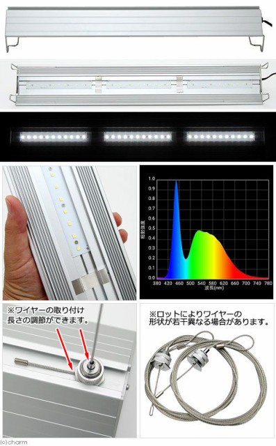 早者勝ち オールガラス６０ｃｍ水槽 スーパークリア アクロ６０ｓ ｔｒｉａｎｇｌｅ ｌｅｄ ｂｒｉｇｈｔ セット お一人様１点限り 沖縄別 特売 Www Iacymperu Org