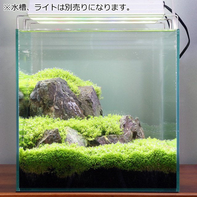 50 Off 水草 風山石と組織培養キューバパールグラス ３０ｃｍキューブ水槽用レイアウトセット 無農薬 本州四国限定 人気ブランドを Www Apsi Incendie Fr