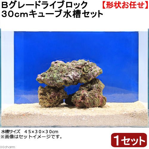 海水魚 ｂグレードライブロック ３０ｃｍキューブ水槽セット １セット 形状お任せ 北海道 九州 沖縄航空便要保温の通販はau Pay マーケット チャーム 商品ロットナンバー