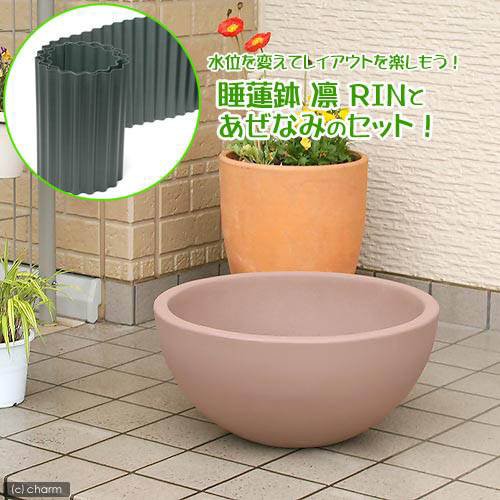 即納正規品 ｒｉｎ 通販 睡蓮鉢 メダカ鉢 ネットショッピング 沖縄別途送料 ベージュ ｓ あぜなみセット 高さ２５ｃｍ ｓ あぜなみセット 高さ２５ｃｍ 凛 睡蓮鉢 金魚鉢 メダカ鉢 特価在庫限り