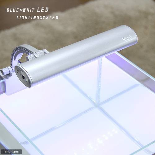 テトラ ｌｅｄミニライト ｌｅｄ ｍｉｎｉ 小型水槽用照明 熱帯魚 水草 アクアリウムライトの通販はau Wowma ワウマ チャーム 商品ロットナンバー