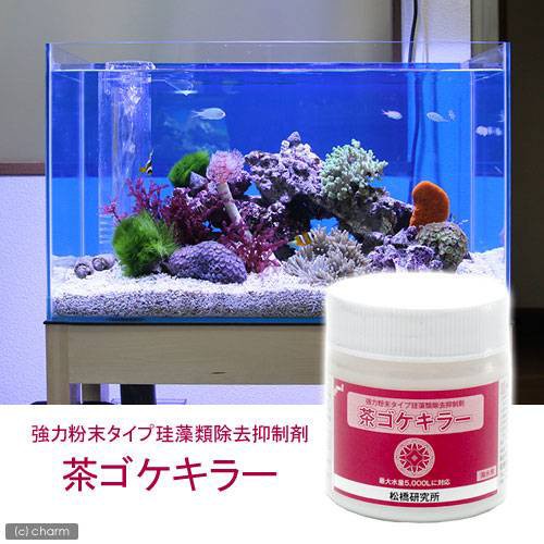 珪藻類除去抑制剤 粉末茶ゴケキラー 海水用 １５０ｇ 沖縄別途送料の通販はau Pay マーケット チャーム 商品ロットナンバー