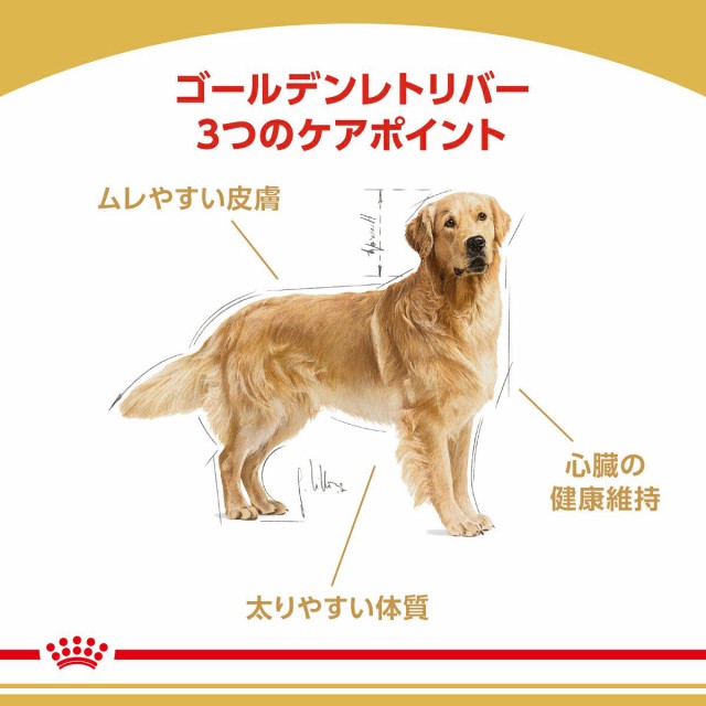 ロイヤルカナン 犬用 ドッグフード ゴールデンレトリバー 成犬 高齢犬用 ３ｋｇ ジップ付の通販はau Pay マーケット チャーム 商品ロットナンバー