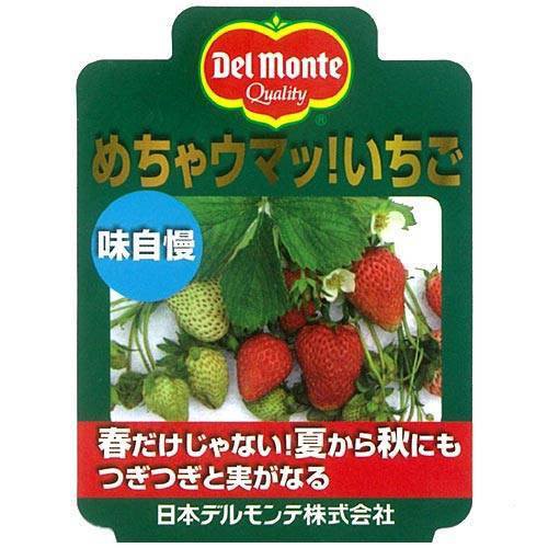 観葉植物 デルモンテ 野菜苗 イチゴ めちゃウマッ いちご 四季成り ３号 １０ポット 家庭菜園の通販はau Wowma ワウマ チャーム 商品ロットナンバー