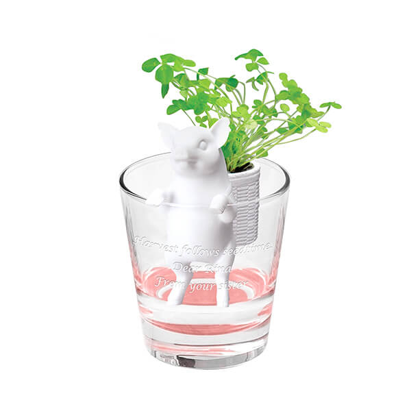 売れ筋 名入れ無料 メッセージが入るオリジナル ハングアニマルズ ブタ クローバー お部屋で育てるおしゃれなハーブの栽培キット 送料無料 選べるサイズ展開 Www Iacymperu Org