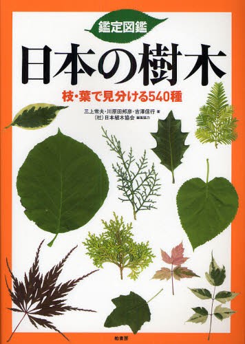 人気満点 送料無料 鑑定図鑑日本の樹木 枝 葉で見分ける540種 本 時間指定不可 Carlavista Com