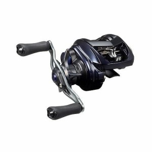 ダイワ(DAIWA) ベイトリール 23SALTIST SV TW 80XH PE SPECIAL