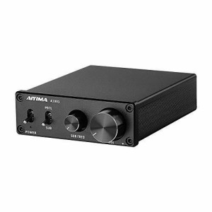 TPA3116D2 100Wサブウーファーアンプ クラスD HiFiモノラルデジタルハイパワーオーディオAmplificador AMP DC12-24Vホームシアター TPA3