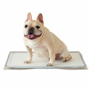 OFT クリアレット クーペ ワイドシーツサイズ 犬トイレ 透明 クリア 超薄型 段差が低い サイズ約：幅61.2×奥46×高2.7CM