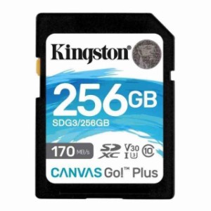 Canvas SDカード D: 256GB, Canvas Go Plus UHS-I、V30対応