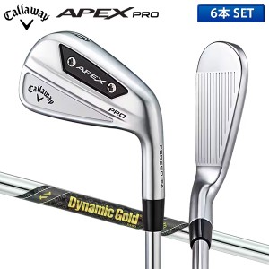 キャロウェイ ゴルフ エイペックス プロ アイアンセット 6本組(5-P) ダイナミックゴールド MID115 スチールシャフト Callaway APEX PRO【