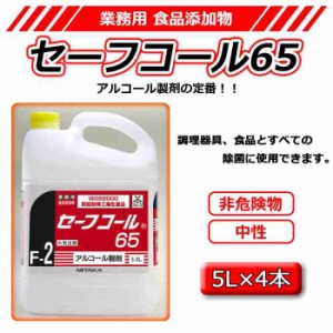 業務用 食品添加物 セーフコール65(F-2) 5L×4 275231(支社倉庫発送品)