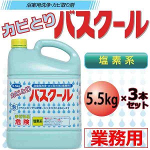 業務用 浴室用洗浄・カビ取り剤 カビとりバスクール 5.5kg 3本セット 234035(支社倉庫発送品)