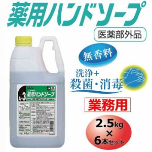 業務用 薬用ハンドソープ(A-3) 2.5kg×6本セット 250162(支社倉庫発送品)