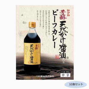 ご当地カレー 広島 川中醤油天然かけ醤油ビーフカレー 中辛 10食セット(支社倉庫発送品)