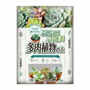 多肉 植物 沖縄の通販 Au Pay マーケット