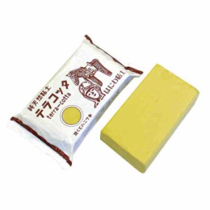 テラコッタ粘土 1kg×10セット(支社倉庫発送品)