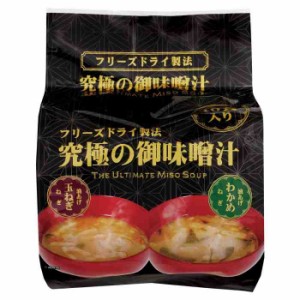 味の坊 究極の御味噌汁 玉ねぎ・わかめ 10食 12個セット(支社倉庫発送品)