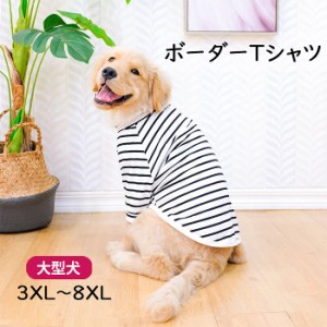 【300円クーポン付き】 犬服 大型犬 大きめサイズ ゴールデンレトリバー プードル 半袖 Tシャツ ボーダー 犬 服 ドッグウェア ストライプ