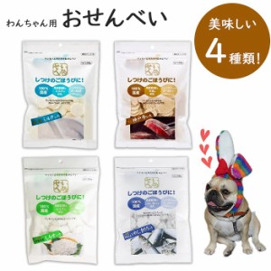 【300円クーポン付き】 【イチオシ！】アラタ おせんべい いぬせん ノンフライ ローカロリー 愛犬用スナック しつけ ごほうび 特選 ミル