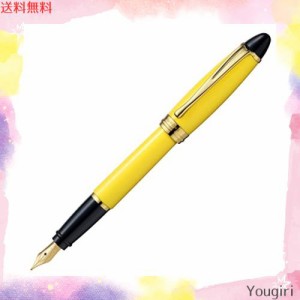 アウロラ 万年筆 M 中字 イプシロン B11-YM イエロー 両用式 正規輸入品