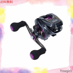 ダイワ(DAIWA) LIGHT SW X IC R カウンター付ベイトリール