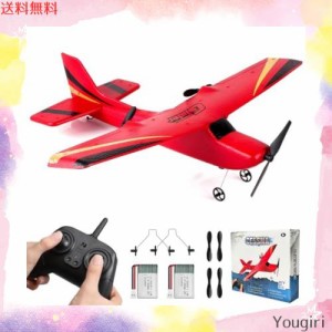 HAWK’S WORKラジコン飛行機、2.4GHz RC飛行機電動 されて簡単に飛ばせる 子供と初心者向けのラジコングライダー(赤)