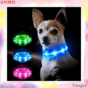 PZRLit 光る首輪 小型犬 散歩 夜 ライト LED USB充電式, サイズ調整可能 ペット 犬 光る首輪 安全反射光 夜 ペット首輪 軽量 ブルー