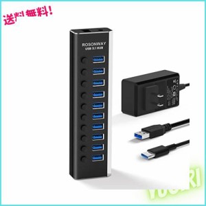 ROSONWAY USB ハブ 3.1 Gen2 10Gbps 10ポートアルミ製 36W USB HUB セルフパワー USBケーブルとType Cケーブル 付き 12V/3A ACアダプタ 